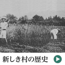 新しき村の歴史